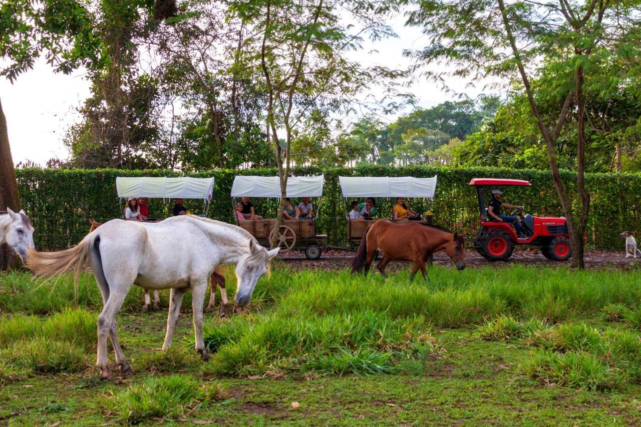 Hotel Campestre La Potra Apiay 외부 사진