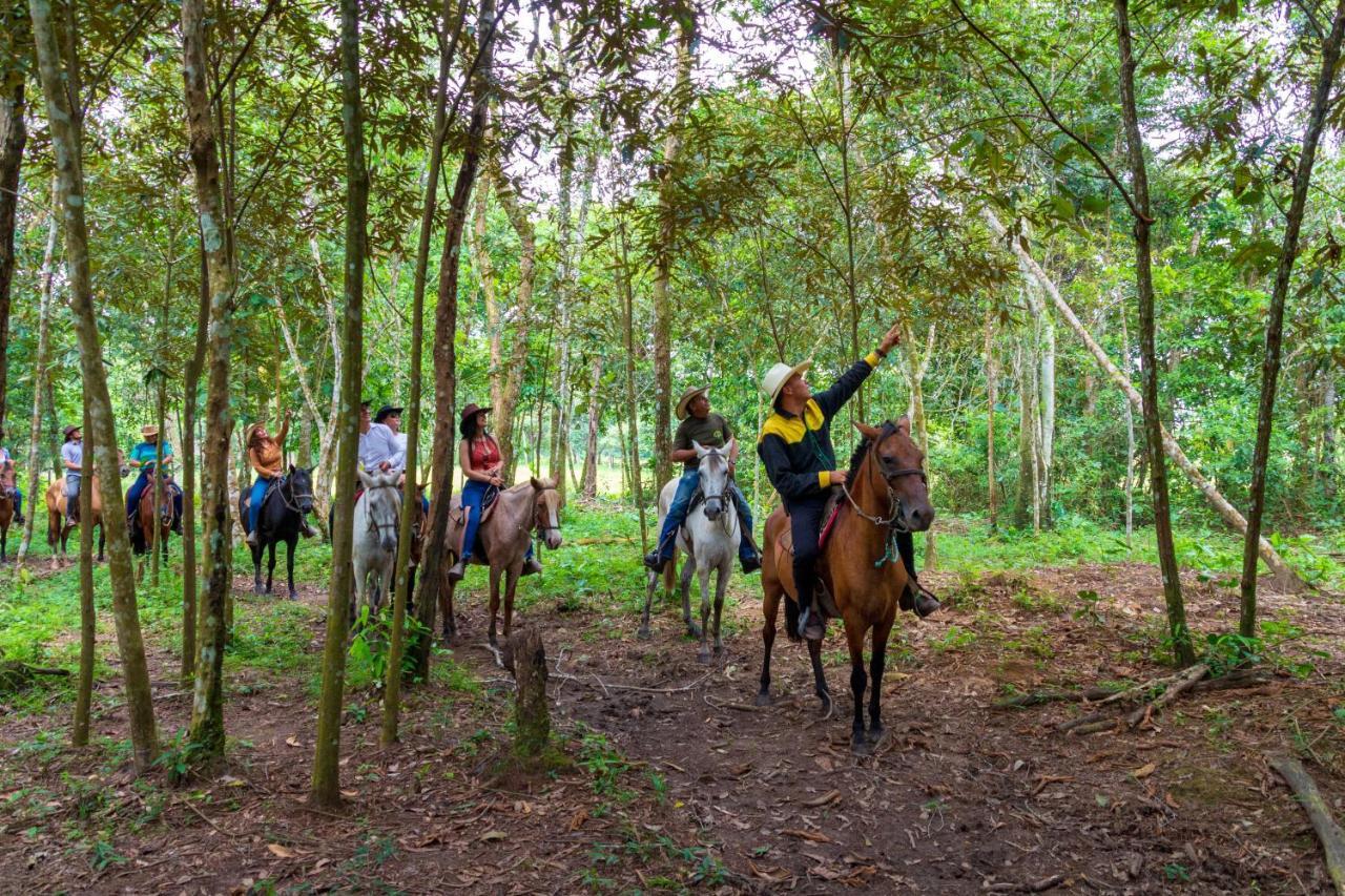 Hotel Campestre La Potra Apiay 외부 사진